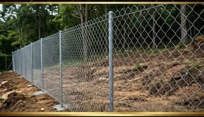 photo_5035226161423780749_y (1)