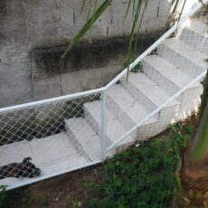 photo_5039555776220957576_y