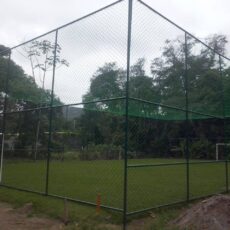 photo_5039555776220957577_y