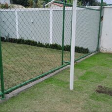 photo_5039555776220957580_y