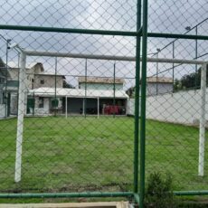 photo_5039555776220957582_y (1)